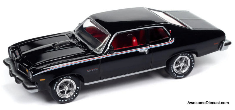 1974 Pontiac GTO, Starlight Black 1:64 Diecast Model Car by Johnny Lightning