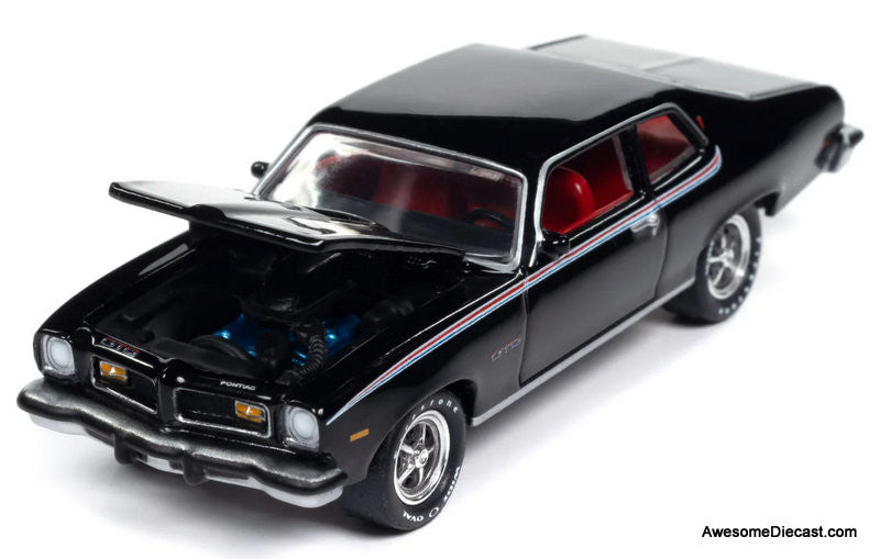 1974 Pontiac GTO, Starlight Black 1:64 Diecast Model Car by Johnny Lightning
